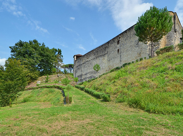 The Medieval Motte